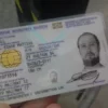 cheap fake id