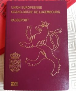 passport fake