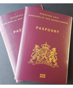 buy fake Dutch passport