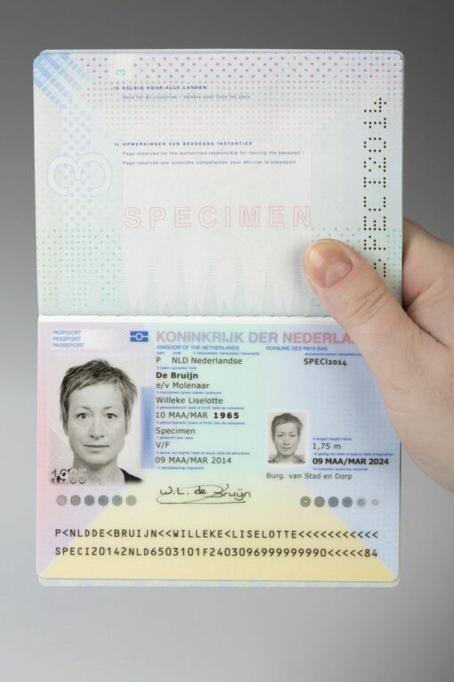 buy fake Dutch passport