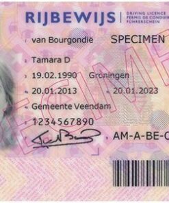 Buy a Dutch driving license